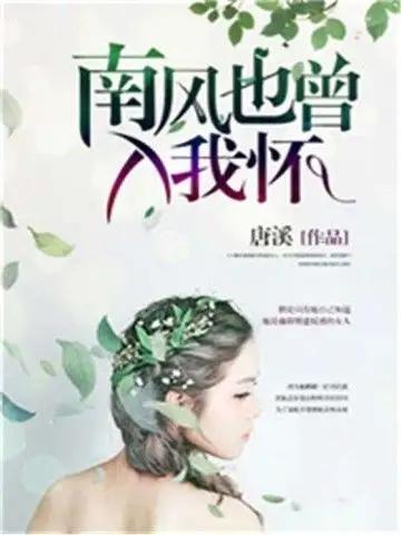 南风篇章更新，最新动态与深度解读