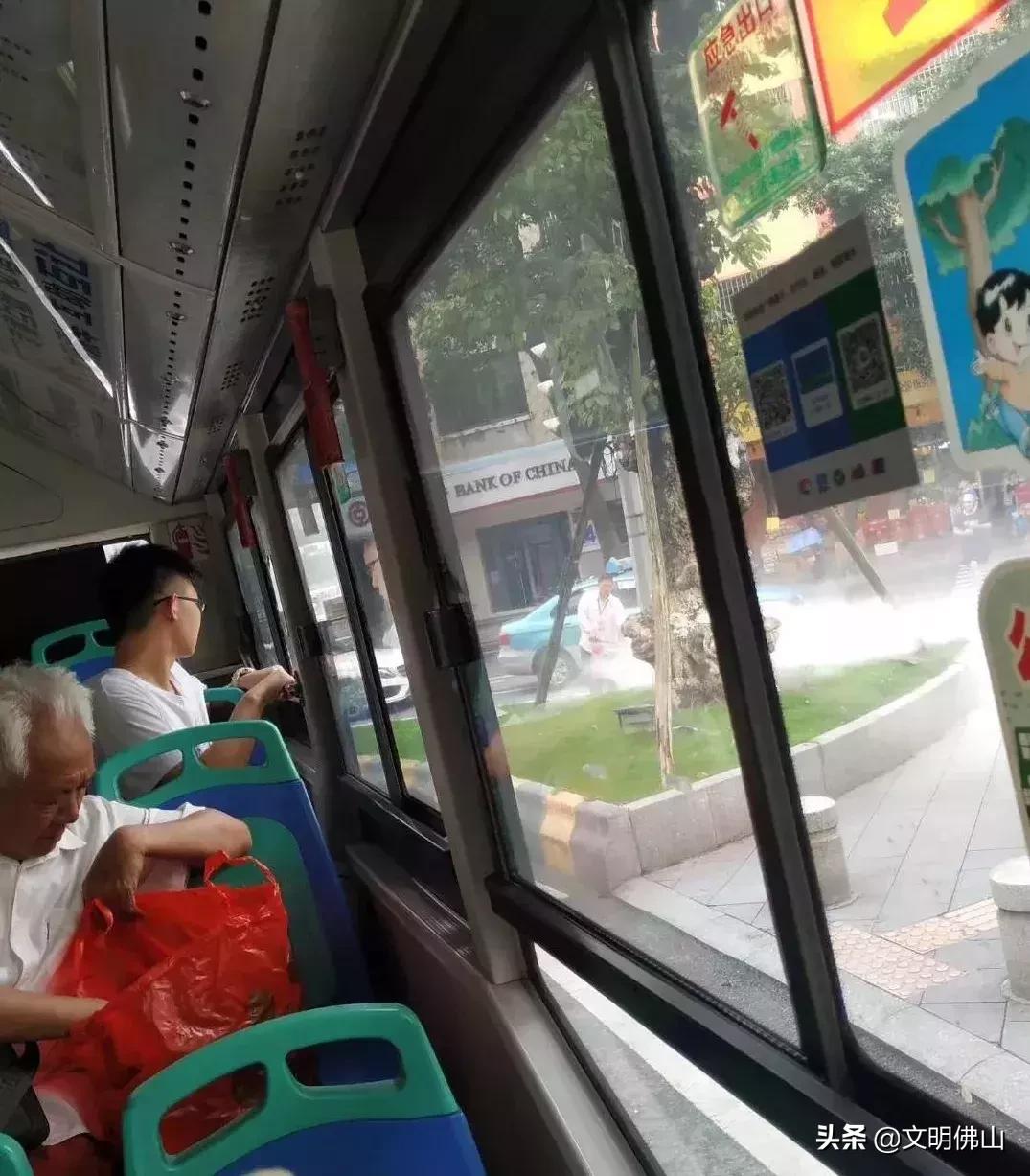 顺德公交最新指南与动态更新