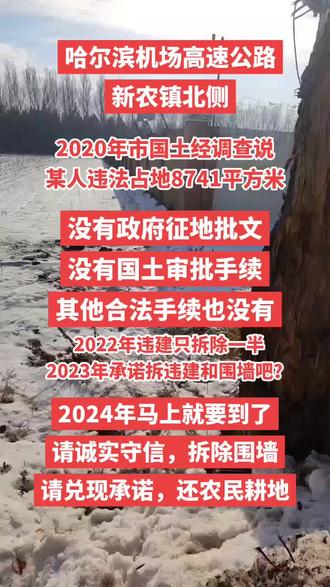 哈尔滨违建拆除最新进展及论述