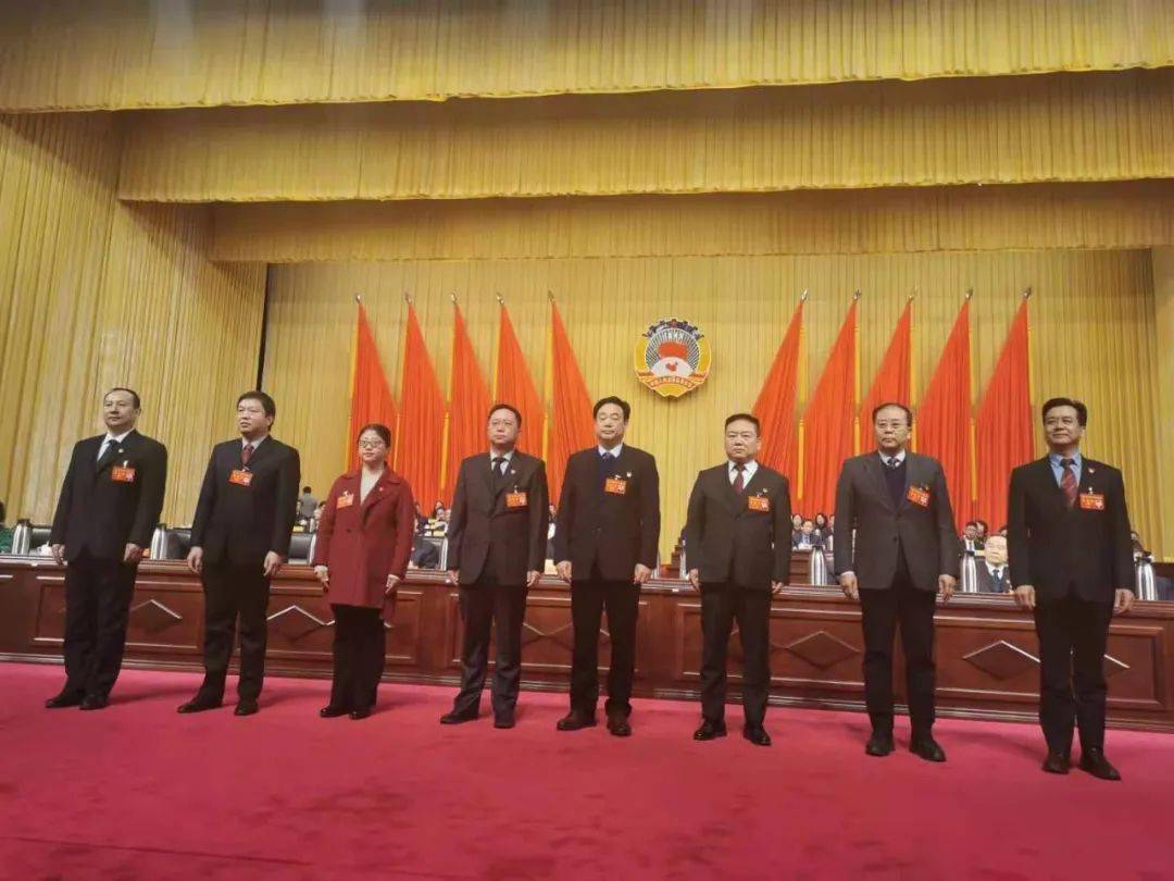 张伊民最新指南，完成任务的详细步骤与学习技能的实用指南