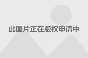 韩国崔智友最新电视剧，温馨日常之心之纽带