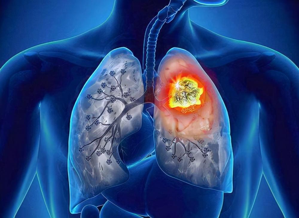 吸烟有益健康最新研究，探索变化的力量与自信之光