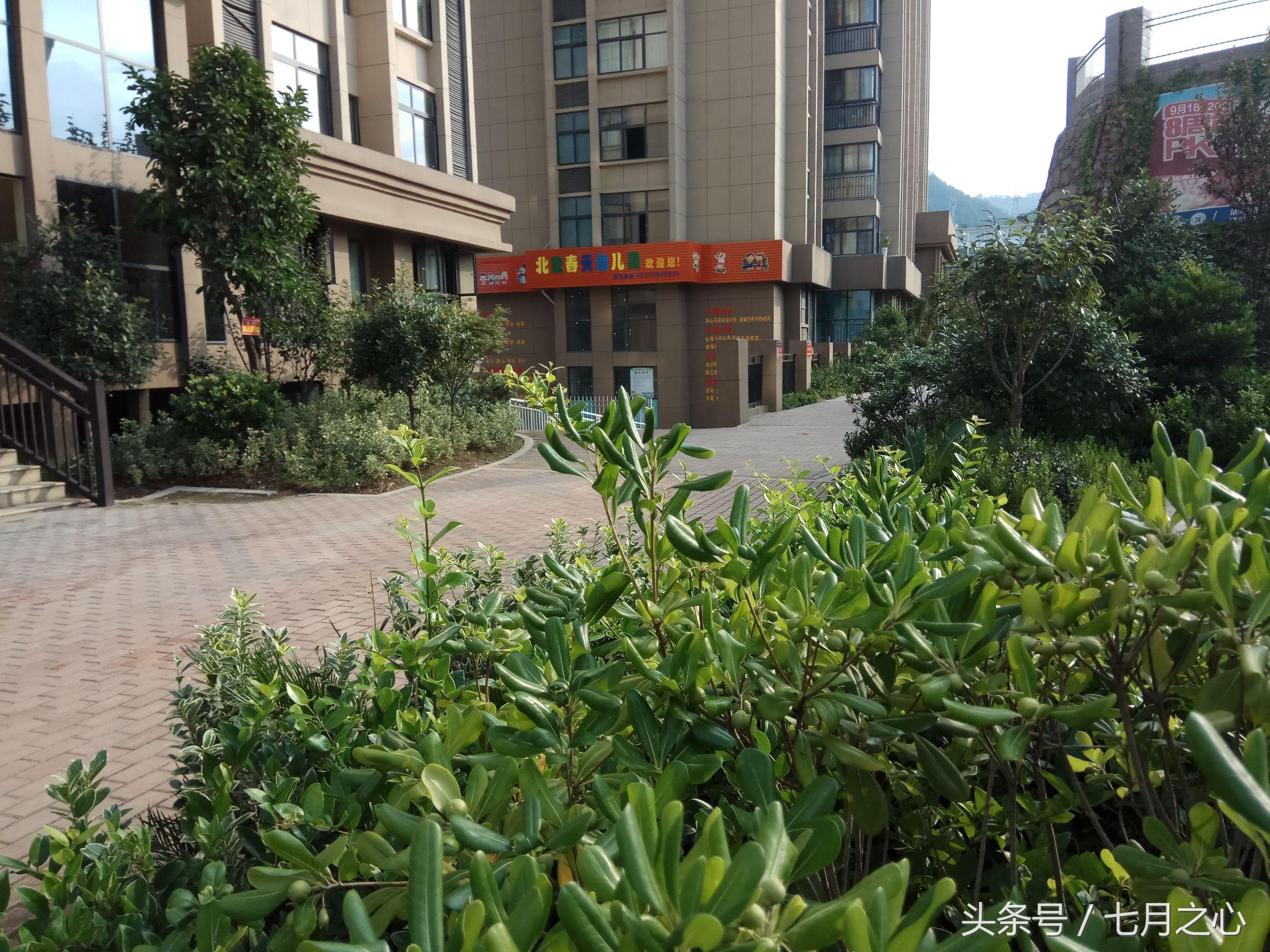揭秘郧西最新楼盘价格，科技魅力与未来生活的邂逅